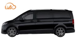 Business MPV-5