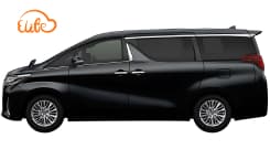 Business MPV-5