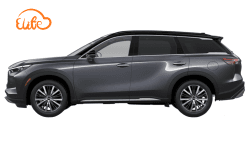 Business MPV-4