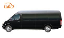 12 Passenger Party Bus