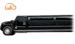 16 Passenger Stretch Limo