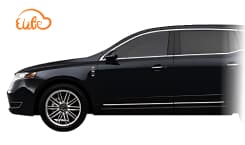 10 Passenger Stretch Limo