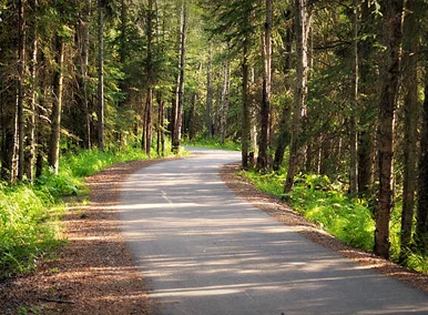 Things to know in Alaska: Tony Knowles Coastal Trail Anchorage