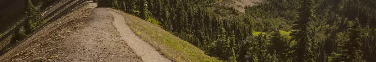 hurricane ridge road northwest seattle