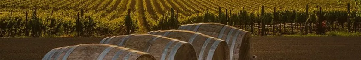 Fredericksburg wine tours