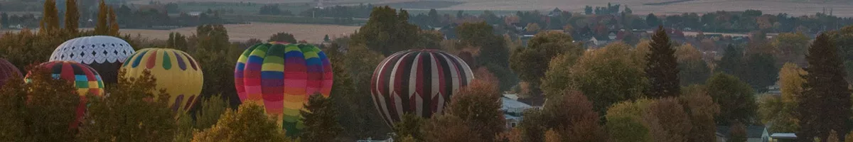 Walla Walla wine festival
