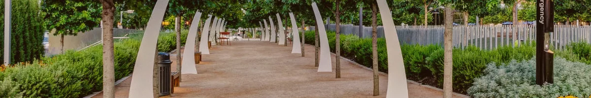 What to do in Dallas