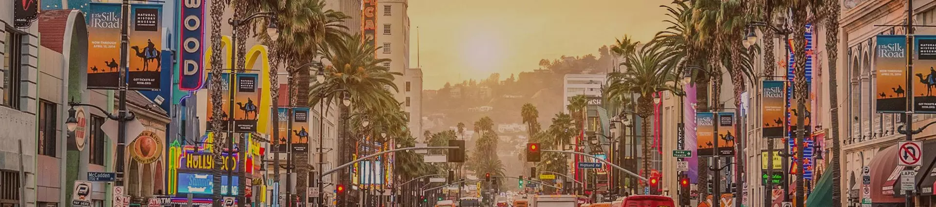 A city tour of Los Angeles