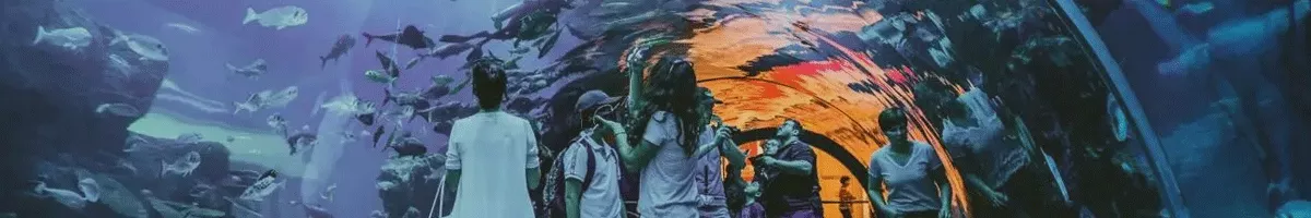 Explore the sea in Atlanta