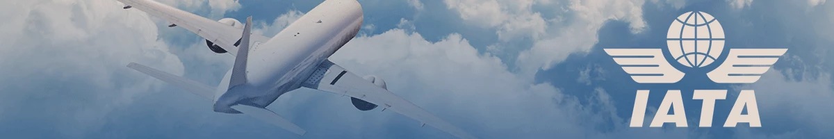 IATA the airline industry most affected by covid