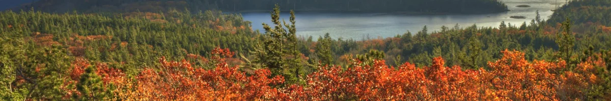 Plan your visit to New York's Catskills Mountains