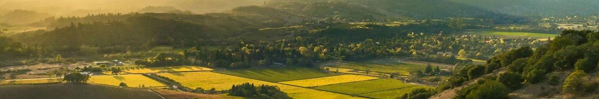 Diversity of Fall Colors in Sonoma California