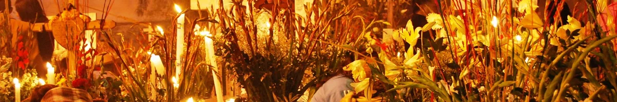 Visit the cemetery of mixquic and live the mexican tradition of the day of the dead