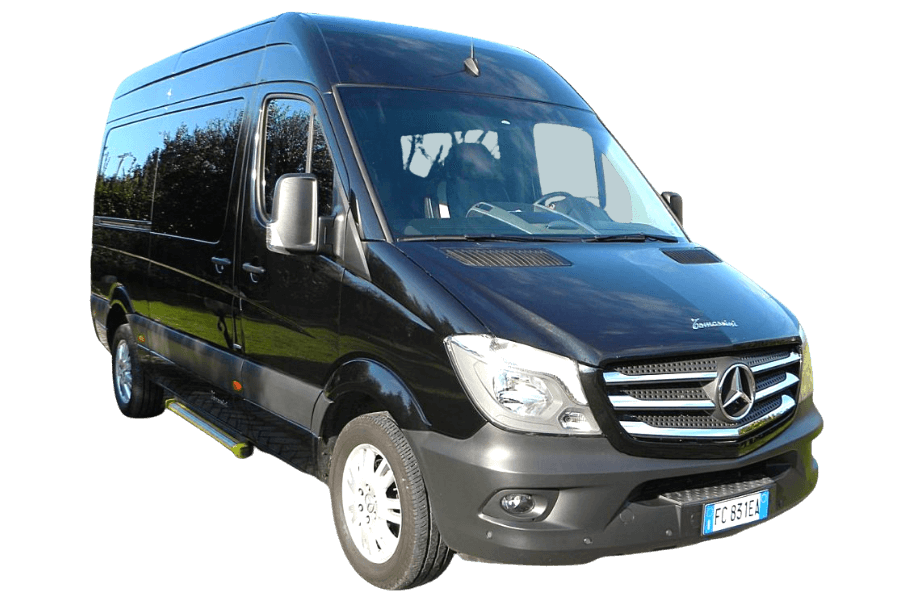 Wheelchair Van